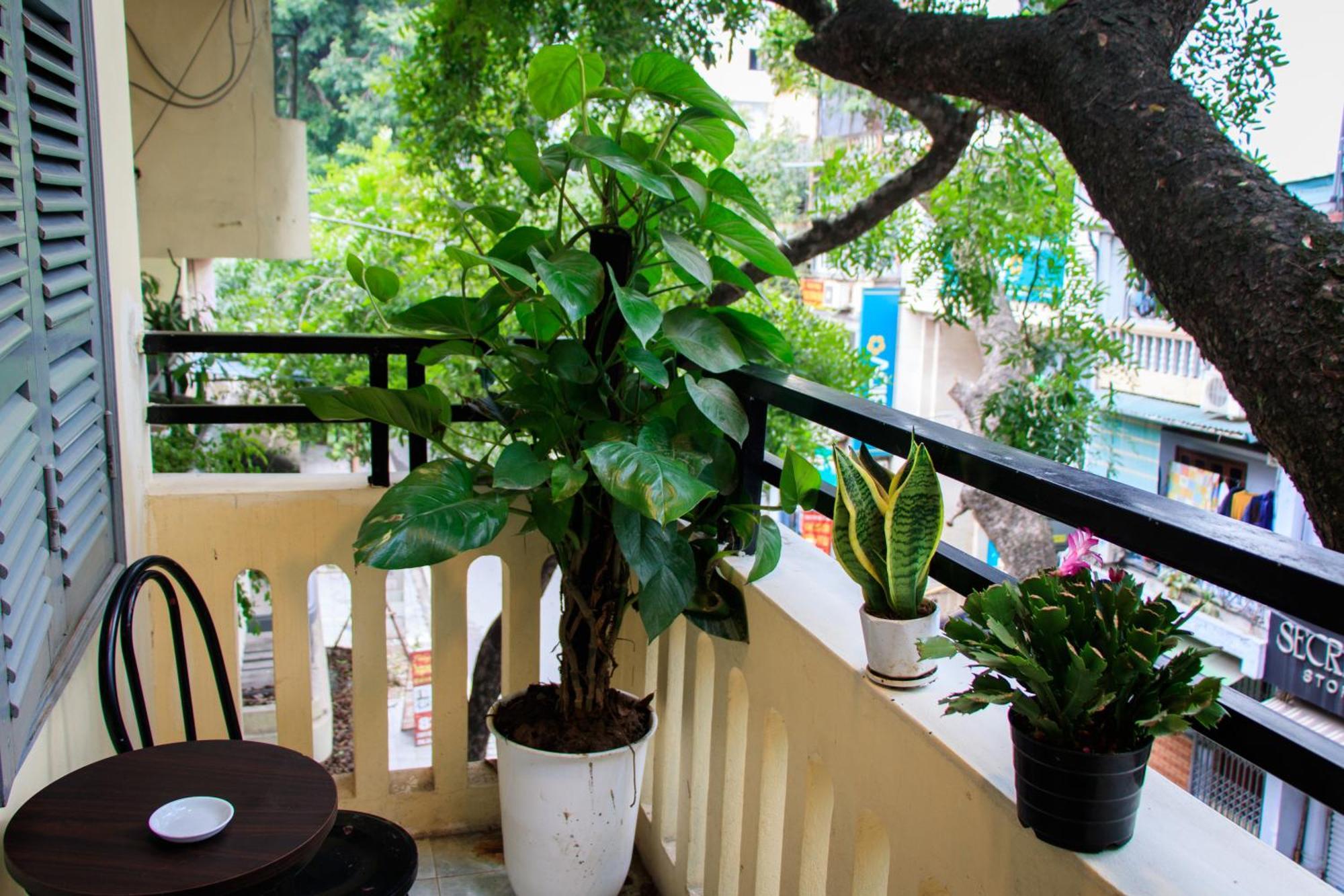 Hanoi Family Homestay Exteriör bild