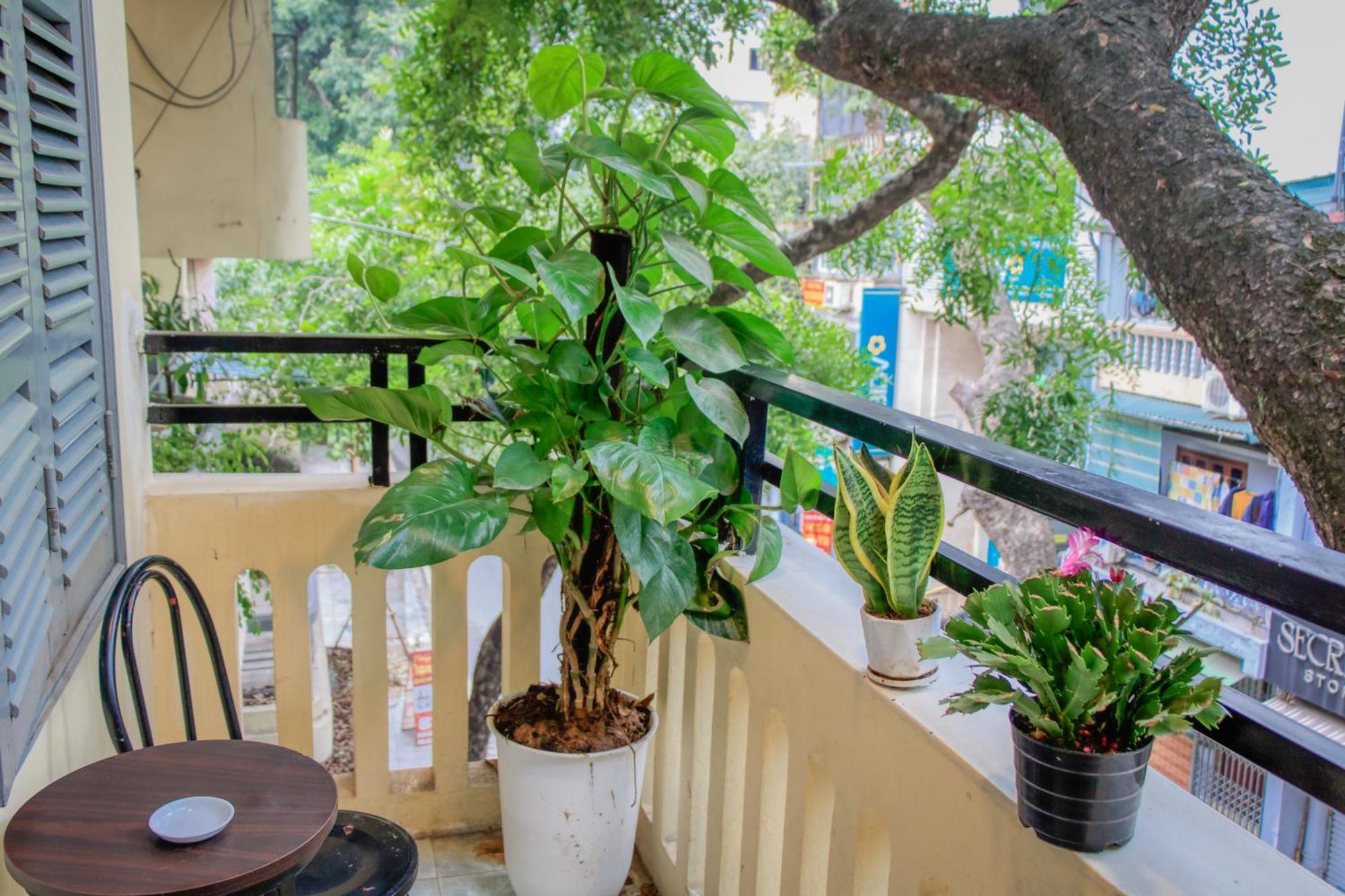 Hanoi Family Homestay Exteriör bild