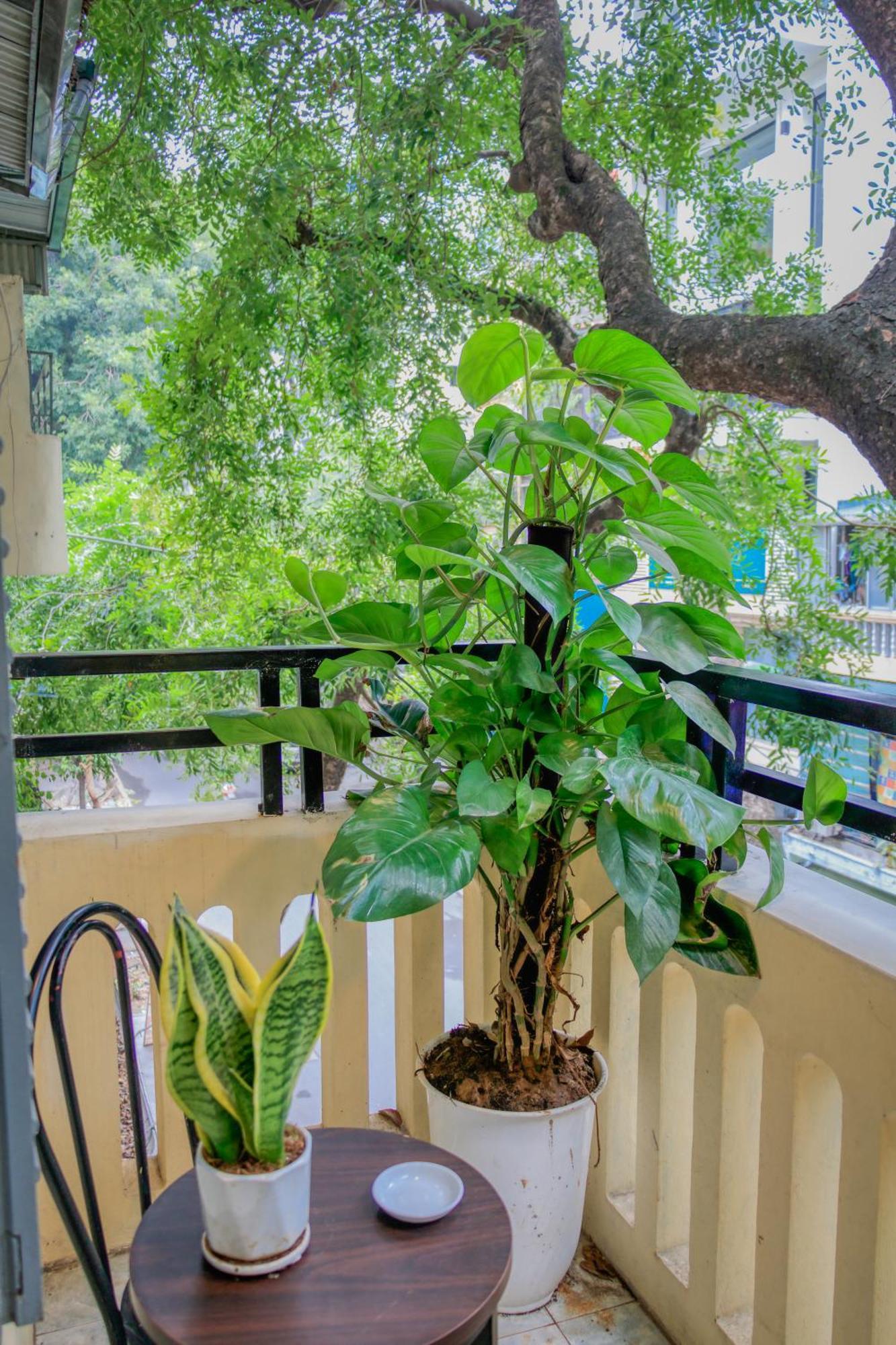 Hanoi Family Homestay Exteriör bild